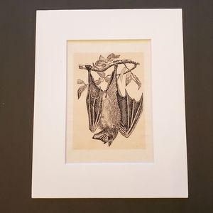 Bat print